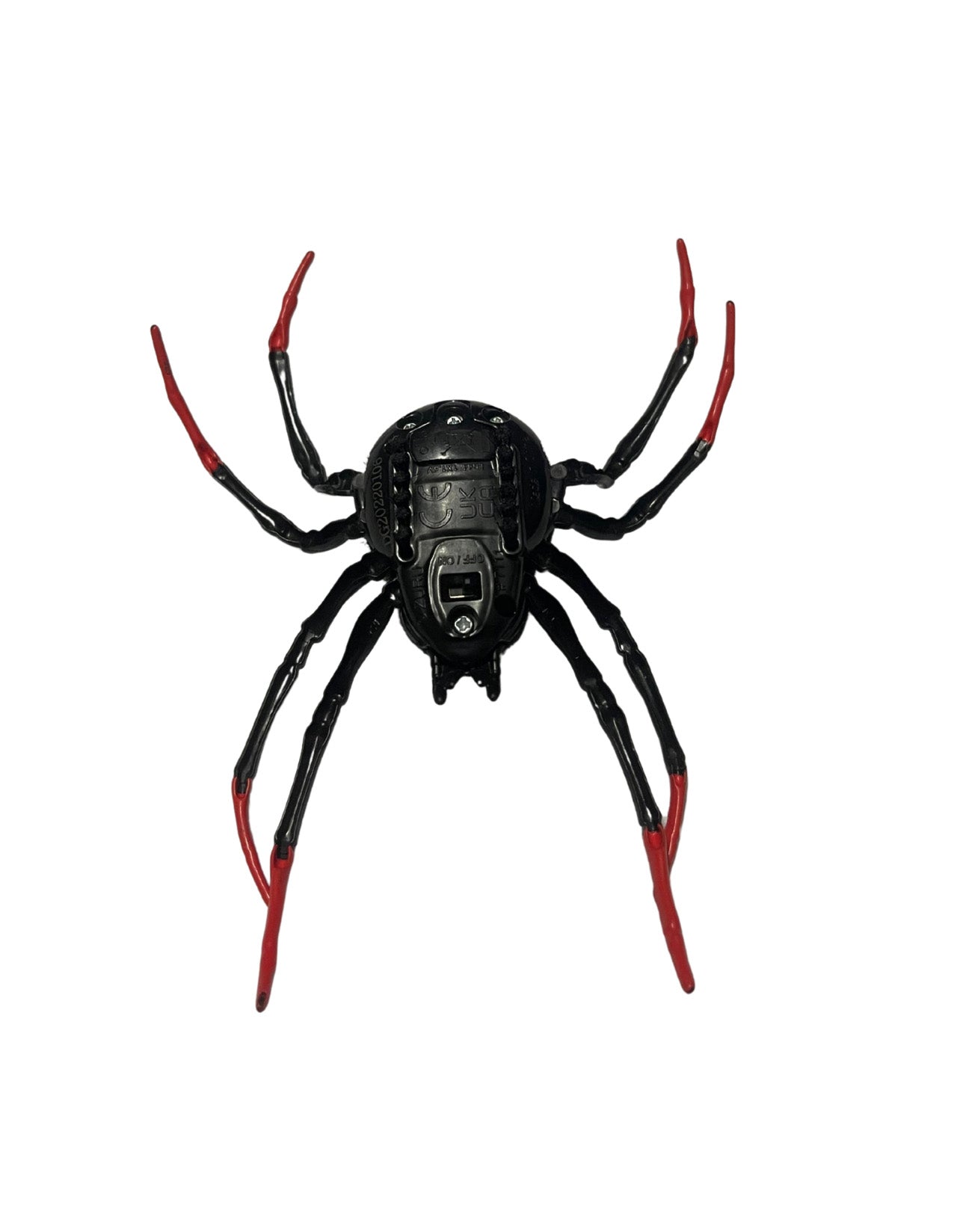 Black Widow Spider