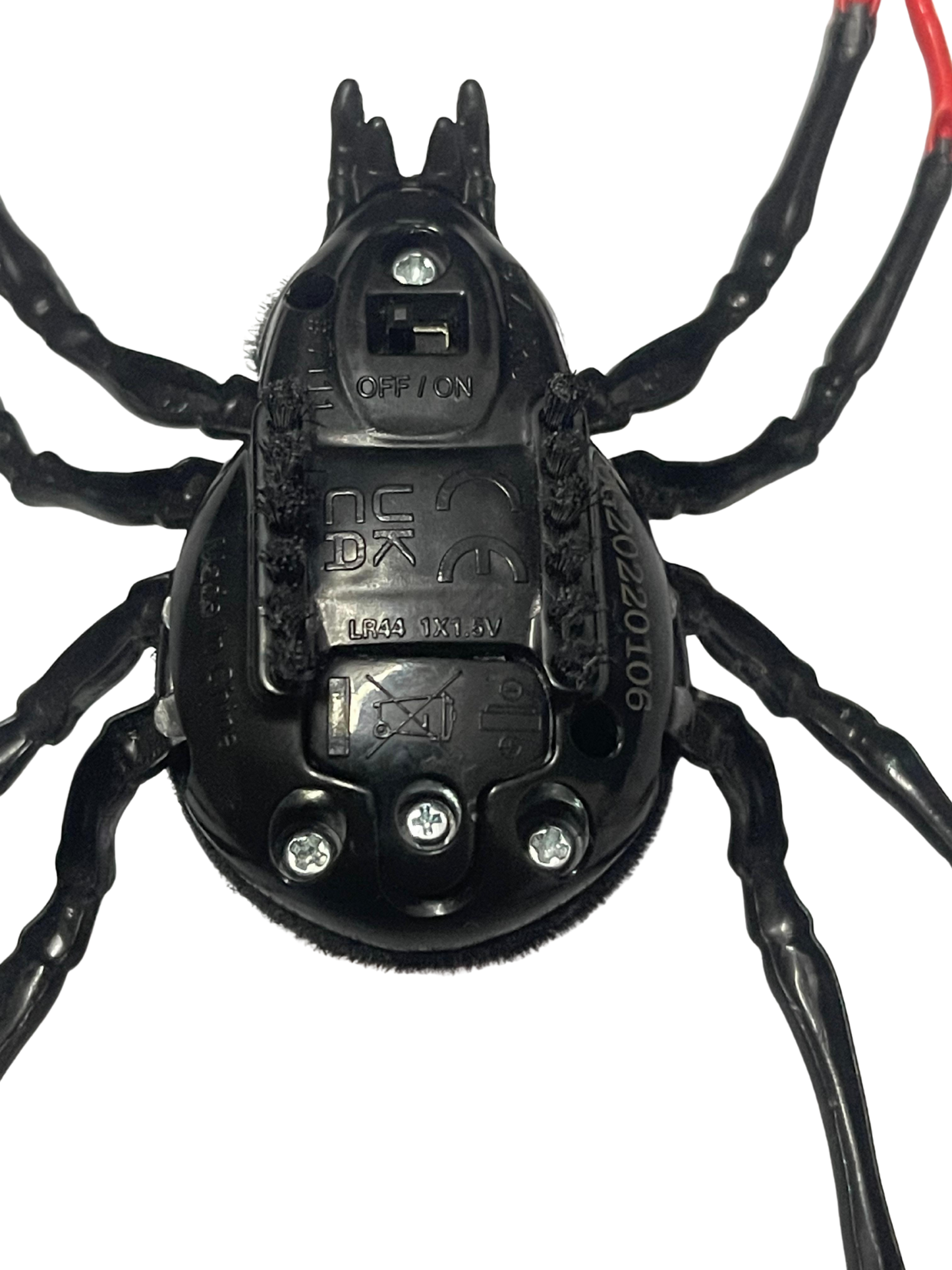 Black Widow Spider