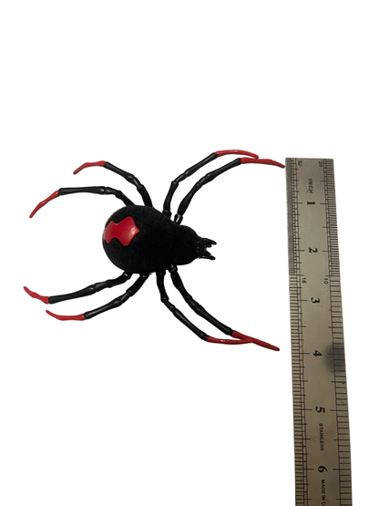 Black Widow Spider