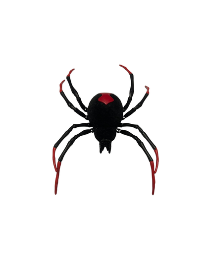 Black Widow Spider