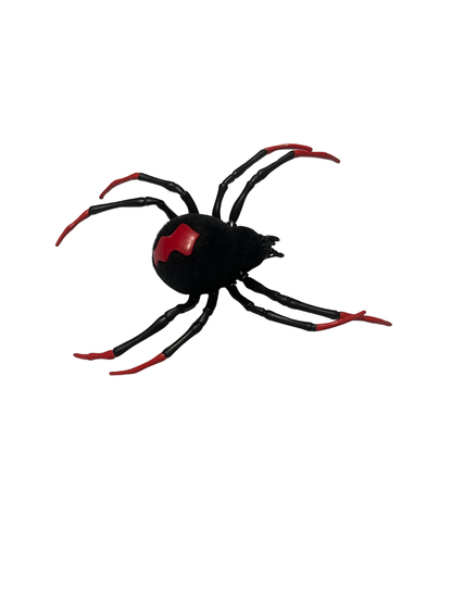 Black Widow Spider