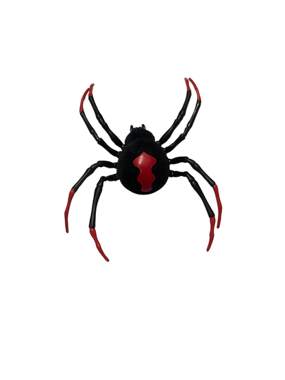 Black Widow Spider