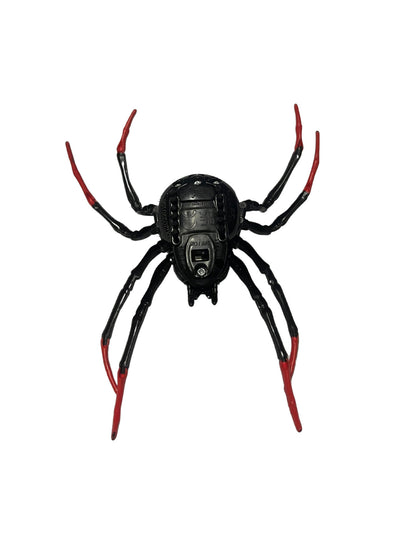 Black Widow Spider